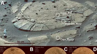 Image via Sci.News