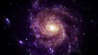 Image via Sci.News