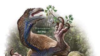 Image via Sci.News