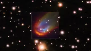 Image via ScienceDaily