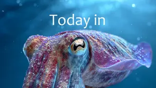 Image via Crypto Integrated