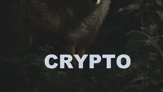 Image via Crypto Integrated