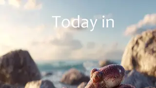Image via Crypto Integrated