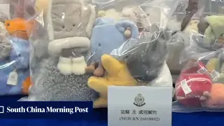 Image via South China Morning Post