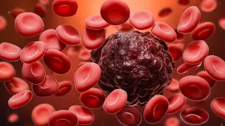 Image via ScienceDaily