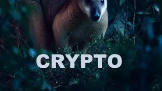 Image via Crypto Integrated
