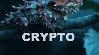 Image via Crypto Integrated