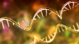 Image via SciTechDaily