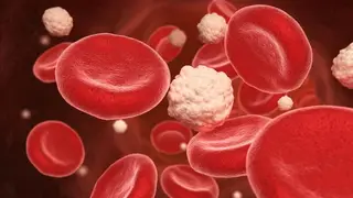 Image via SciTechDaily