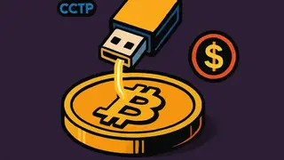 Image via Cryptonomist