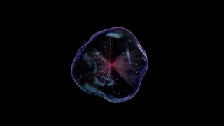 Image via Singularity Hub
