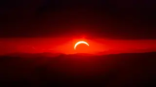 Image via Singularity Hub