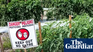 Image via The Guardian