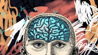 Image via Scientific American