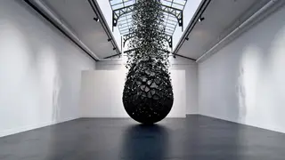 Image via Singularity Hub