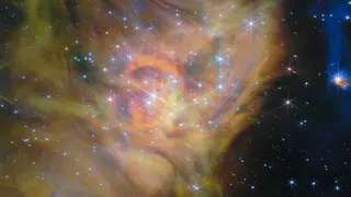 Image via Live Science