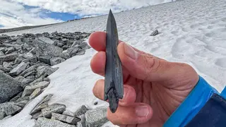 Image via Archaeology News Online Magazine