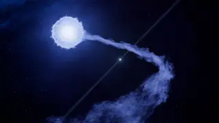 Image via Live Science