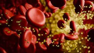 Image via ScienceDaily