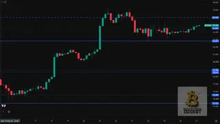 Image via Bitcoin News Digest