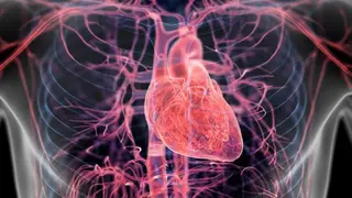 Image via SciTechDaily