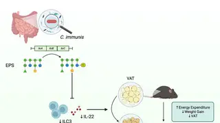Image via Sci.News