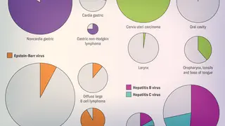 Image via Scientific American