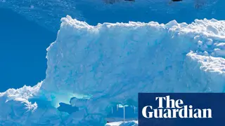 Image via The Guardian