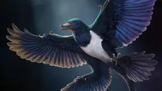 Image via Live Science