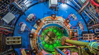 Image via Scientific American