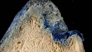 Image via SciTechDaily