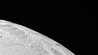 Image via ZME Science