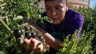 Image via AgDaily