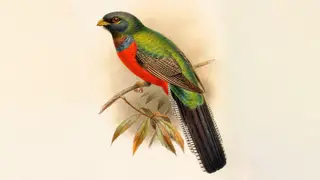 Image via Sci.News