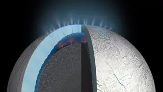 Image via Sci.News