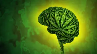 Image via ScienceDaily