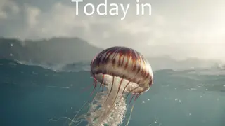 Image via Crypto Integrated