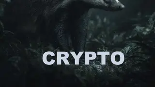 Image via Crypto Integrated