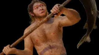 Image via Archaeology News Online Magazine