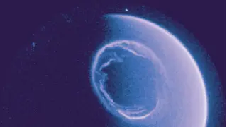 Image via Scientific American