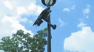 Image via ABC11 (Raleigh-Durham)