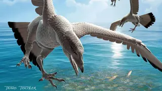 Image via Sci.News