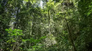 Image via Rio Times