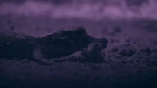 Image via Live Science
