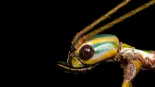 Image via ScienceDaily