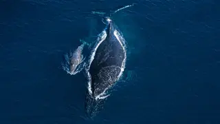 Image via Science News
