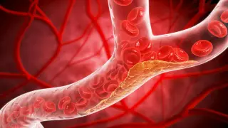 Image via ScienceDaily