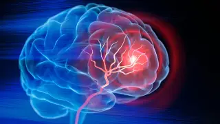 Image via ScienceDaily