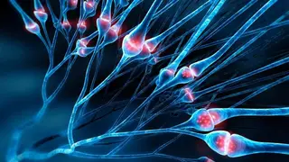 Image via SciTechDaily