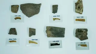 Image via SciTechDaily